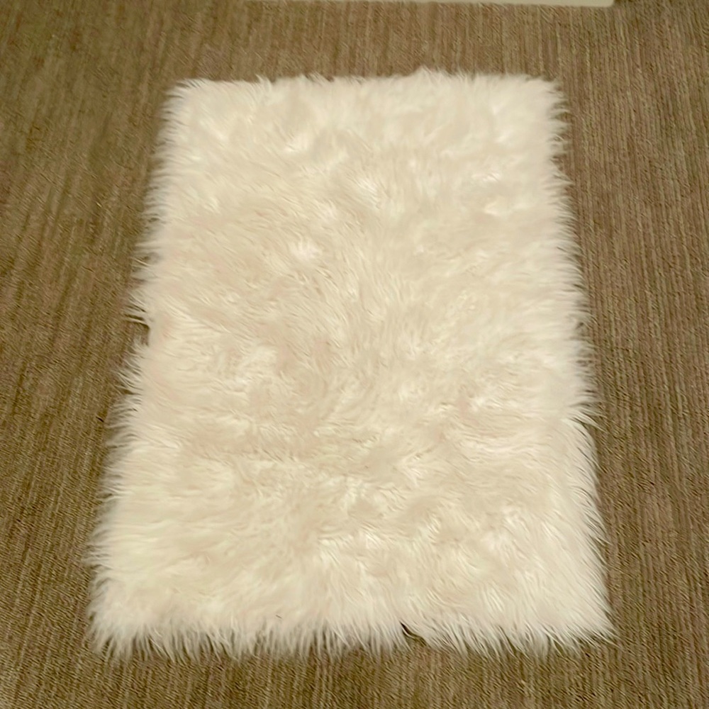 36x24in white carpet
